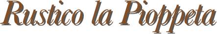  Rustico la Pioppeta